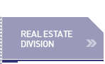 real_estate_division